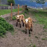 Biohof Untermar אוברוולאך