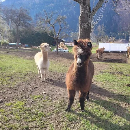 Appartamento Biohof Untermar Obervellach