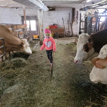 Biohof Untermar דירה