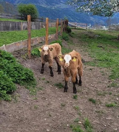 Biohof Untermar Obervellach (Spittal an der Drau)