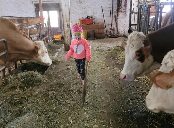 Biohof Untermar Appartement