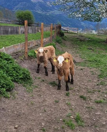 Biohof Untermar Obervellach